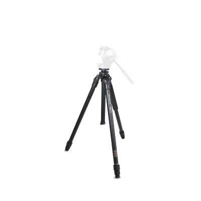 KITE ARDEA AL STATIEF